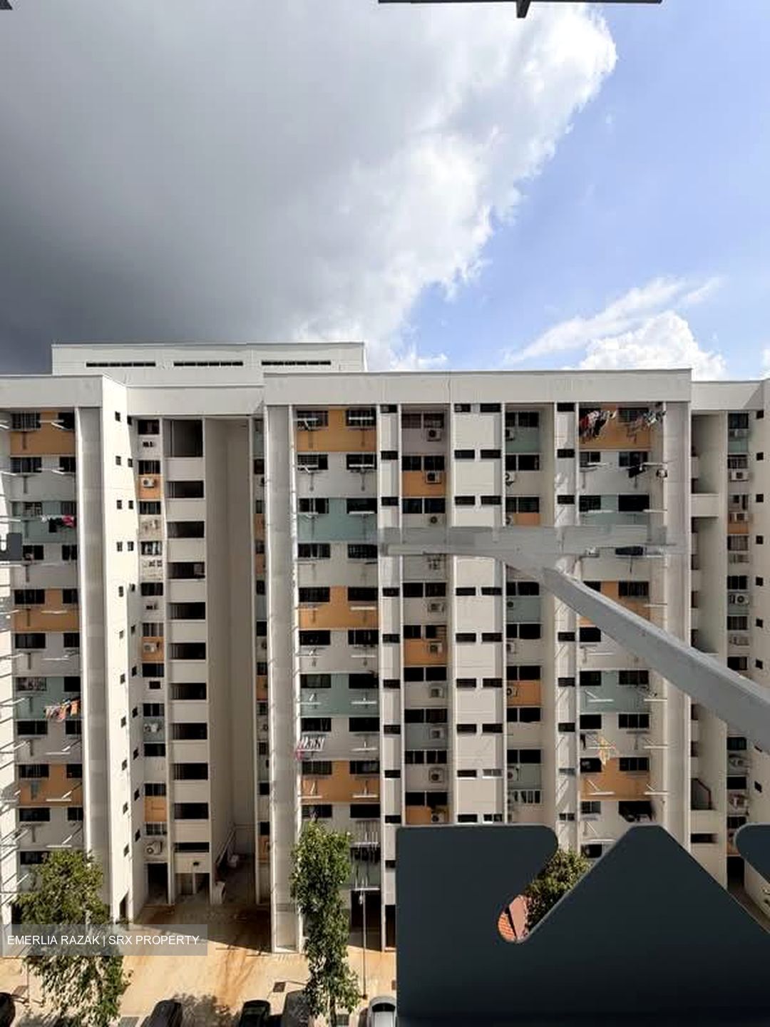 Blk 283 Ficus Vale (Yishun), HDB 3 Rooms #581798291